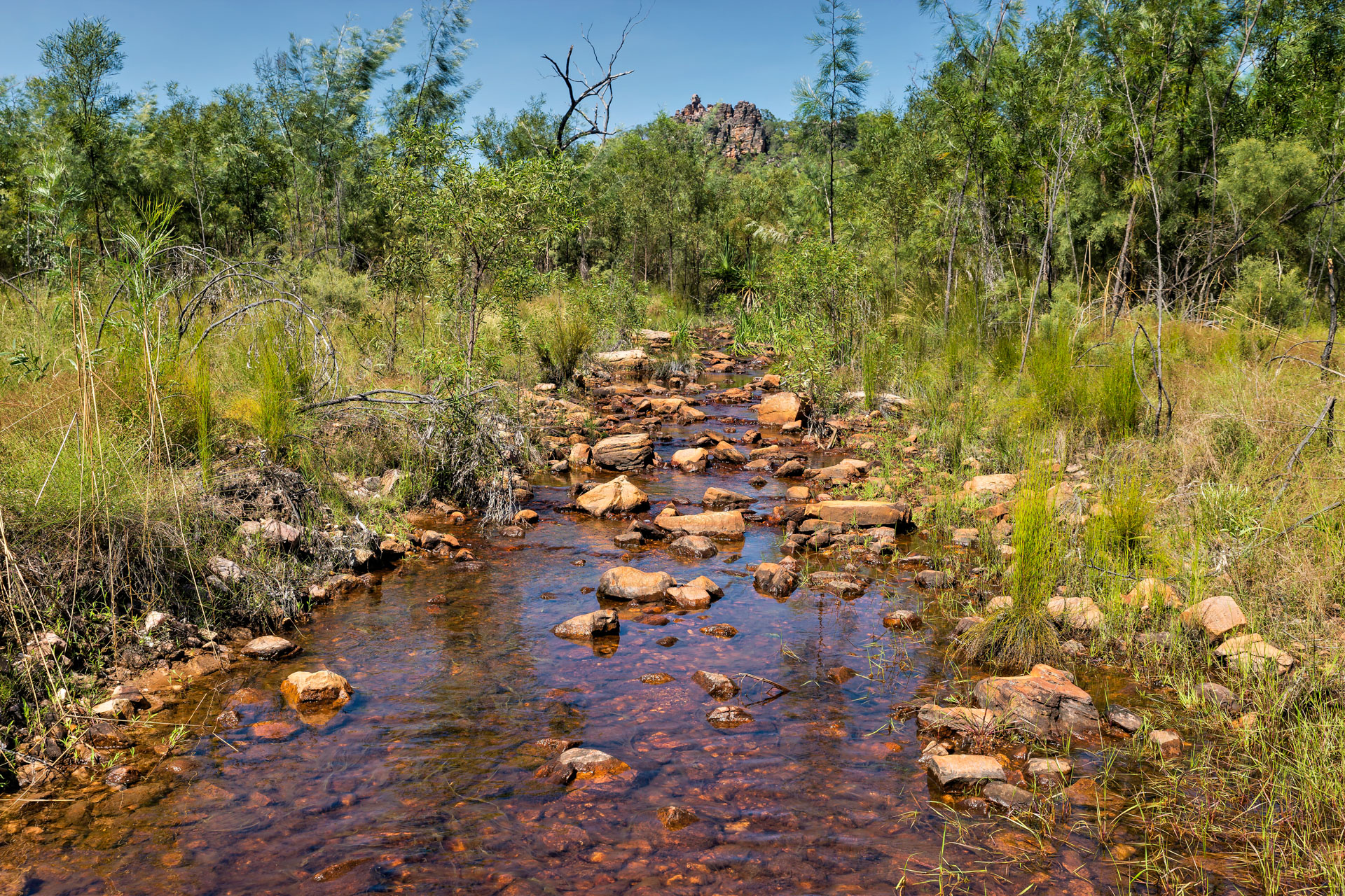 Kakadu National Park - Gubara Pools Walk